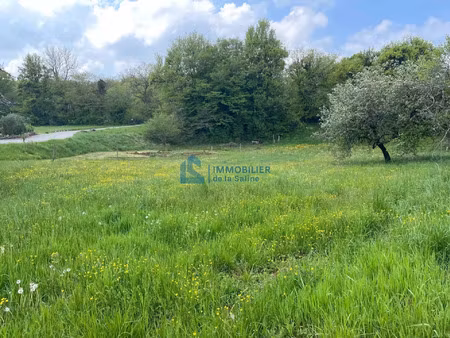 vente terrain 1360 m² quingey (25440)