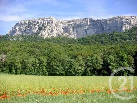 terrain à vendre - 2516 m2 - nans les pins - 83 - provence-alpes-cote-d-azur