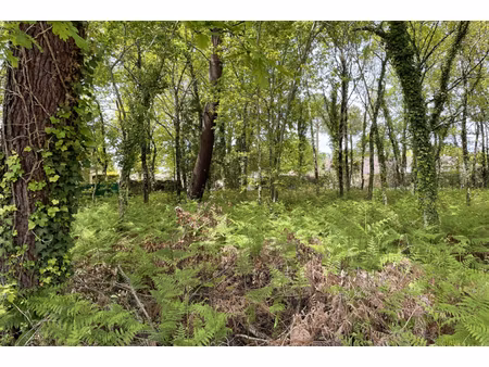 annonce terrain à vendre