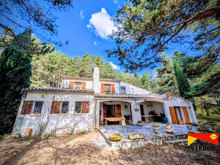 maison avec grand terrain