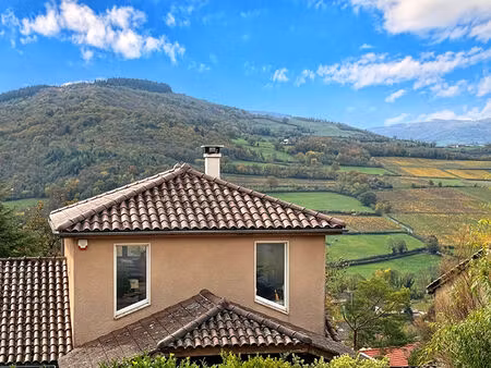 villa t5 avec vue bussières