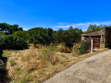 terrain grans 491 m2