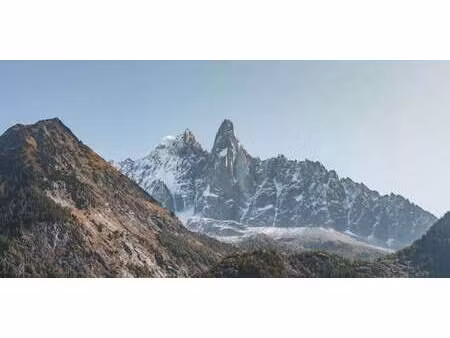 chalet avec vue panoramique chamonix-mont-blanc (74)