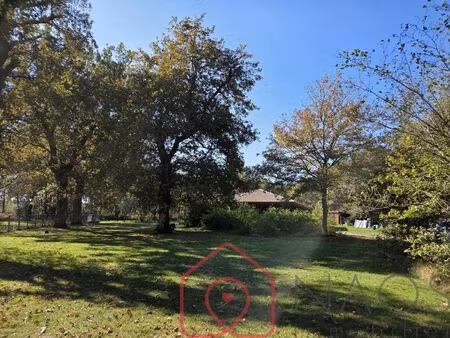 vente maison 4 pièces 119 m² labouheyre (40210)