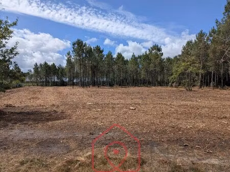 vente terrain 1600 m² parentis-en-born (40160)