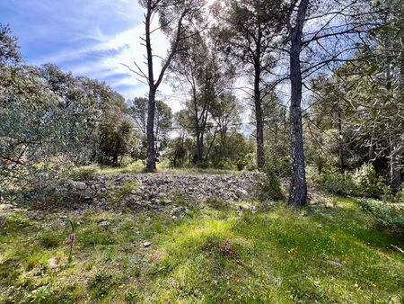 achat terrain 2 465m²