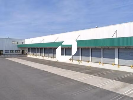 immprove grande activité & logistique