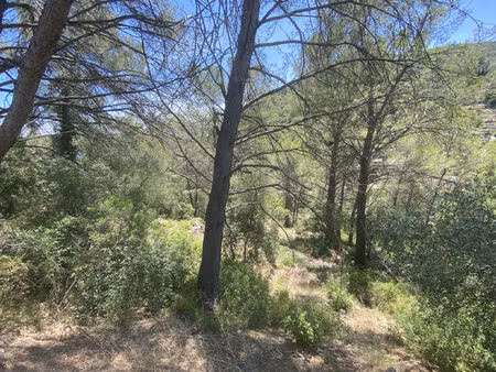 vente terrain 1354 m² solliès-toucas (83210)