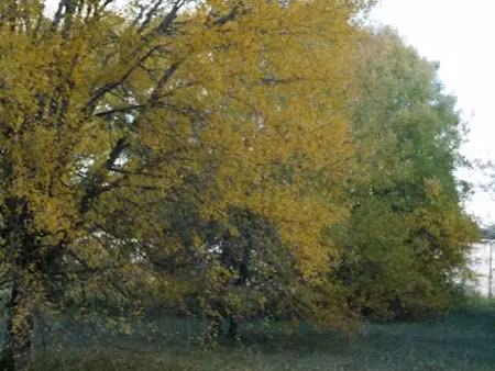 vente terrain 1134 m² à calamane (46150)  36 500 €