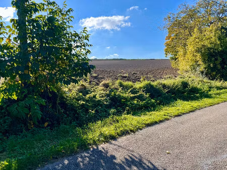 vente terrain 2400 m² pourrain (89240)