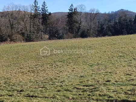 vente terrain 1230 m² à ance (64570)  55 000 €