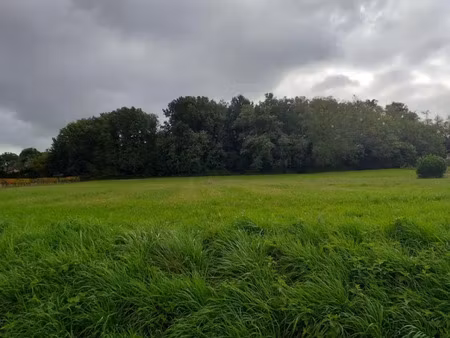 vente terrain 720 m² à targon (33760)  69 000 €