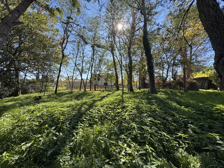 terrain constructible de 854m2