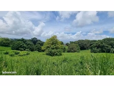 terrain 500 m² riviere pilote