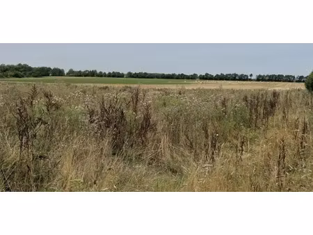 vente terrain 500 m² à lasson (14740)  102 900 €