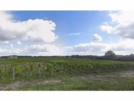 vente terrain 1672 m² à fargues (33210)  90 000 €