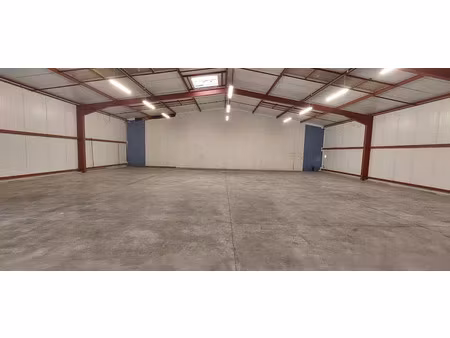 vente locaux professionnels 388 m² à duttlenheim (67120)  299 000 €