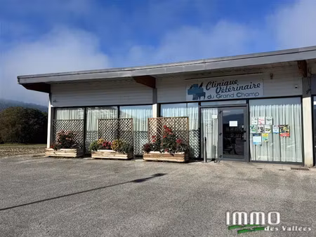 vente locaux professionnels 275.97 m² à vagney (88120)  315 000 €