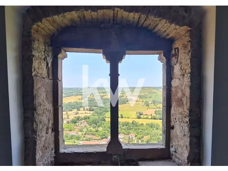 vente immeuble 1300 m² à cordes-sur-ciel (81170)  450 000 €