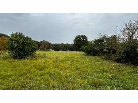 terrain de 909m² constructible à civry la forêt