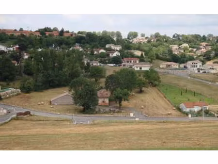 terrain montastruc-la-conseillère m² t- à vendre  140 000 €