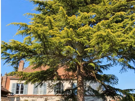 maison d'habitation chateauneuf-en-thymerais 28170