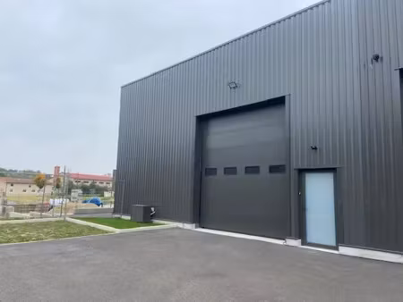 brindas z.a : local 225 m2 – état neuf - toutes activités