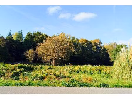 terrain à bâtir de 740m2 à chauvigné