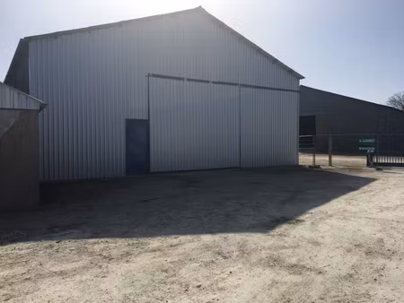 a louer - local d'activité