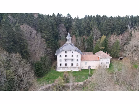 achat maison 45 pièces 670m² le chambon sur lignon 43400