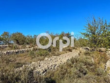 vente terrain 5520m2 ruoms 07120 - 6000 € - surface privée