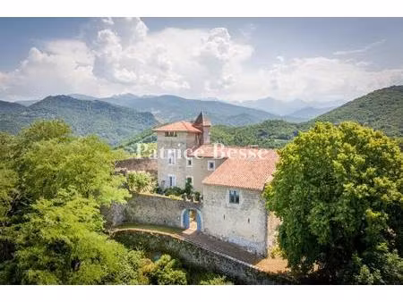 dominant la vallée d'une province historique bordée par les reliefs pyrénéens  un château.