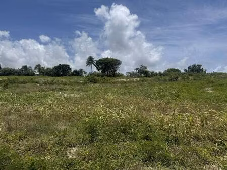 terrain constructible viabilisé à vendre