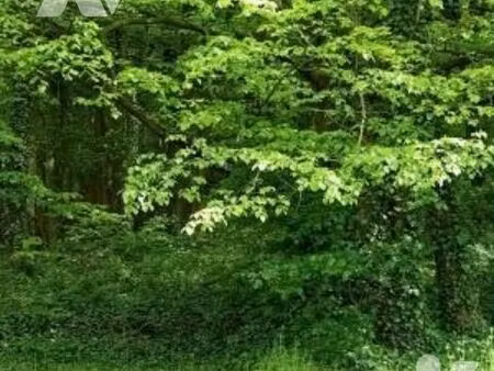 terrain 21070 m² montbavin