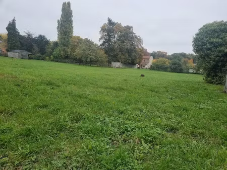 vente terrain à batir 2658 m² à walincourt-selvigny (59127)  29 900 €