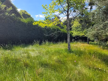 vente terrain 706 m² à anet (28260)  60 000 €