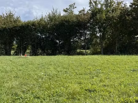 vente terrain 561 m² à arçonnay (72610)  58 905 €