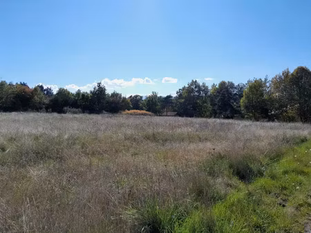 vente terrain 1100 m² à borne (43350)  50 000 €