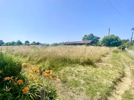 vente terrain 3100 m² à saint-michel-de-castelnau (33840)  49 000 €