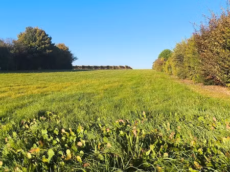 vente terrain 1700 m² à salles-d'angles (16130)  75 000 €