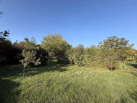 vente terrain 867 m² à azay-sur-cher (37270)  99 000 €