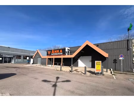 location locaux professionnels 1000 m² à sens (89100)  9 000 €