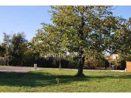 terrain constructible viabilisé à vendre