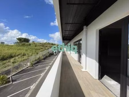 location : locaux commerciaux perrin  guadeloupe