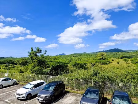 achat appartement 2 pièces 43m² ste luce 97228