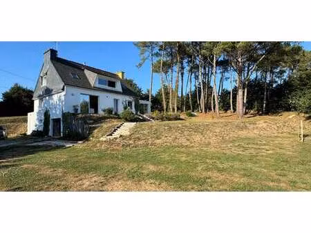 maison avec jardin tremeven (29)