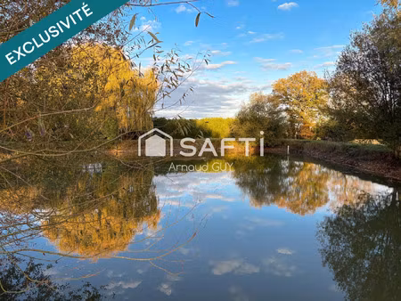 vente terrain 10575 m² arçonnay (72610)