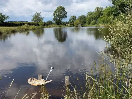 terrain de loisirs avec étang