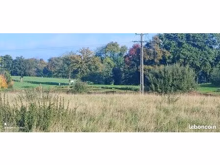 terrain 1 339 m² chanoz chatenay