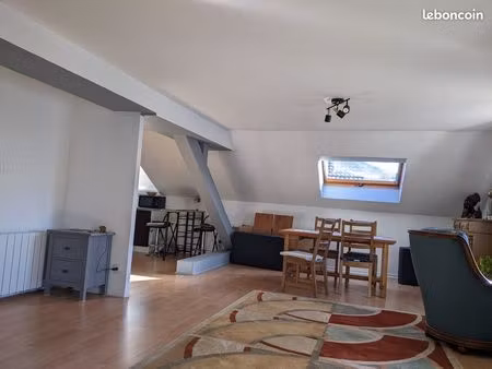 grand appartement centre vosges